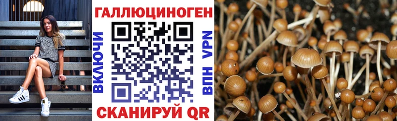 как найти наркотики  Курлово  Галлюциногенные грибы Magic Shrooms 